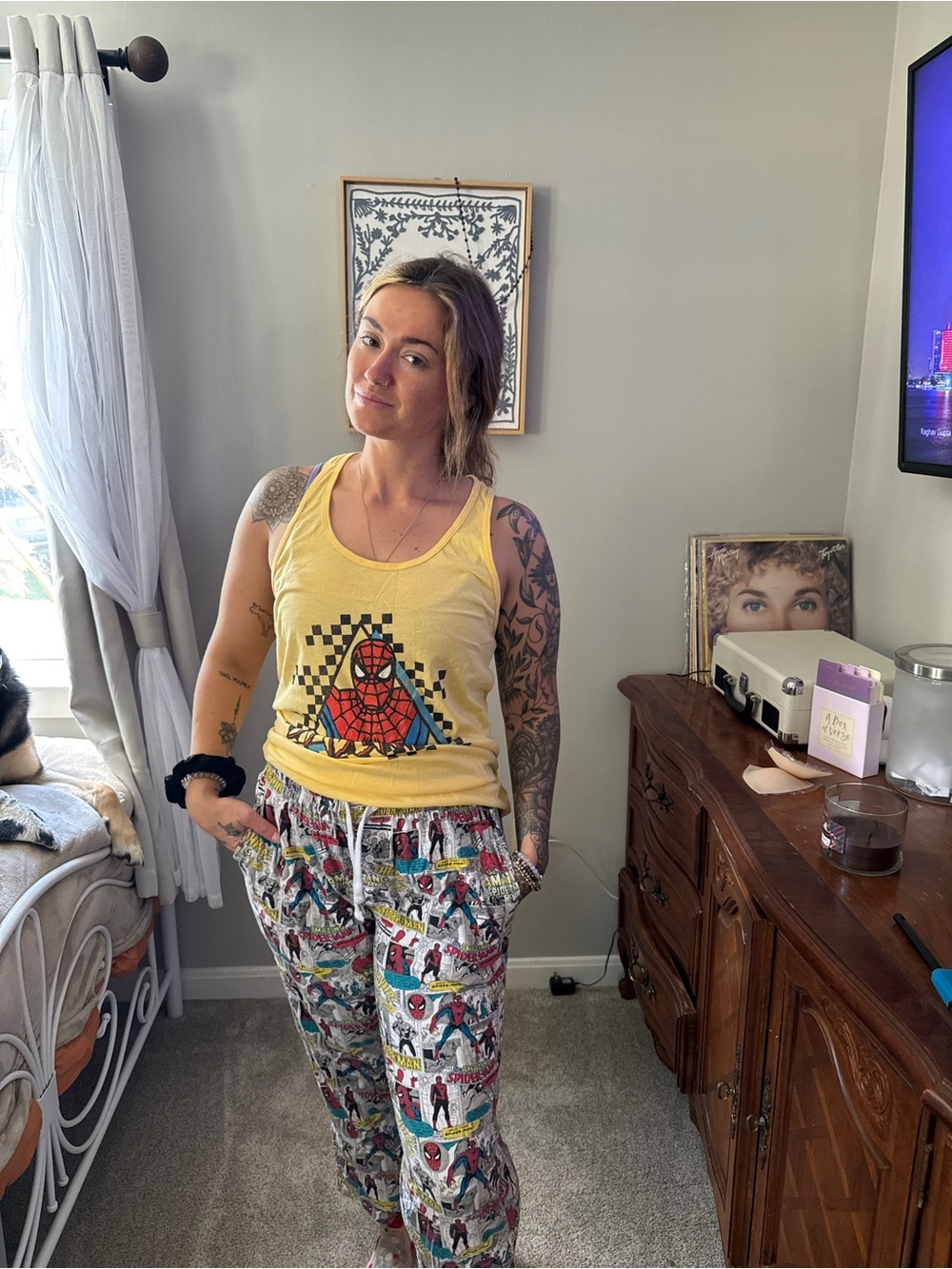Marvel Spiderman Comic Style Pants